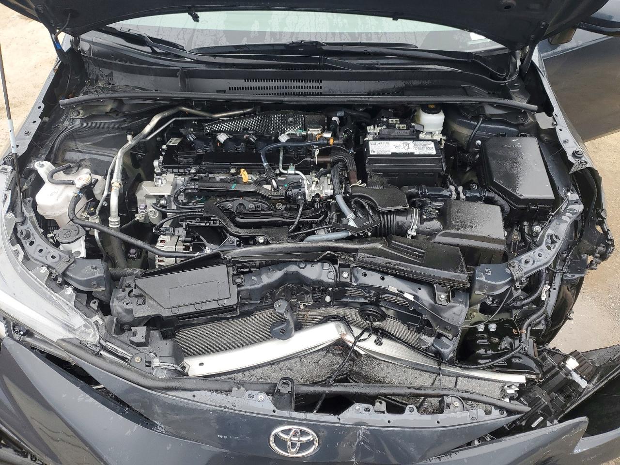 2025 TOYOTA COROLLA