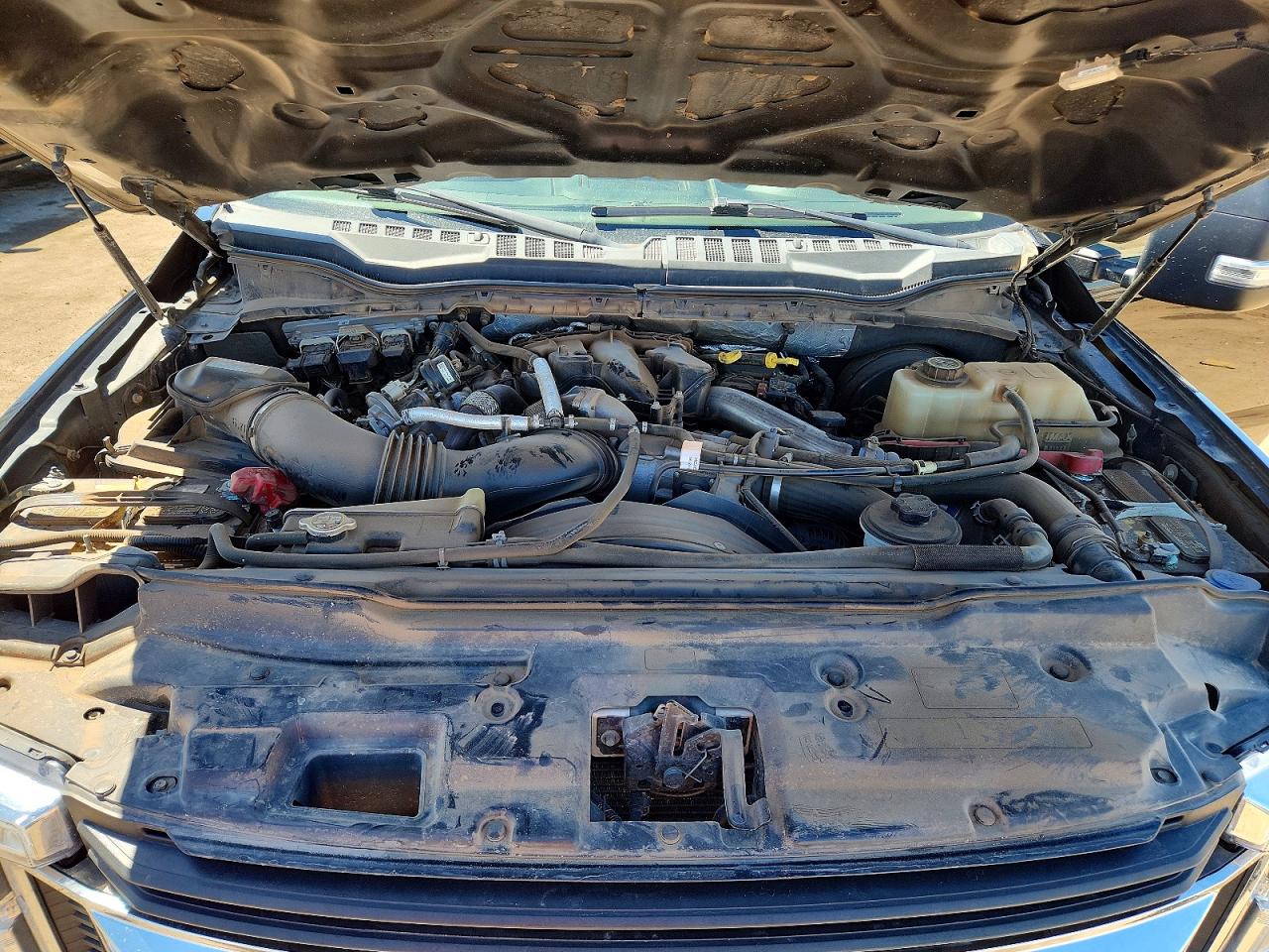 2019 FORD All Models