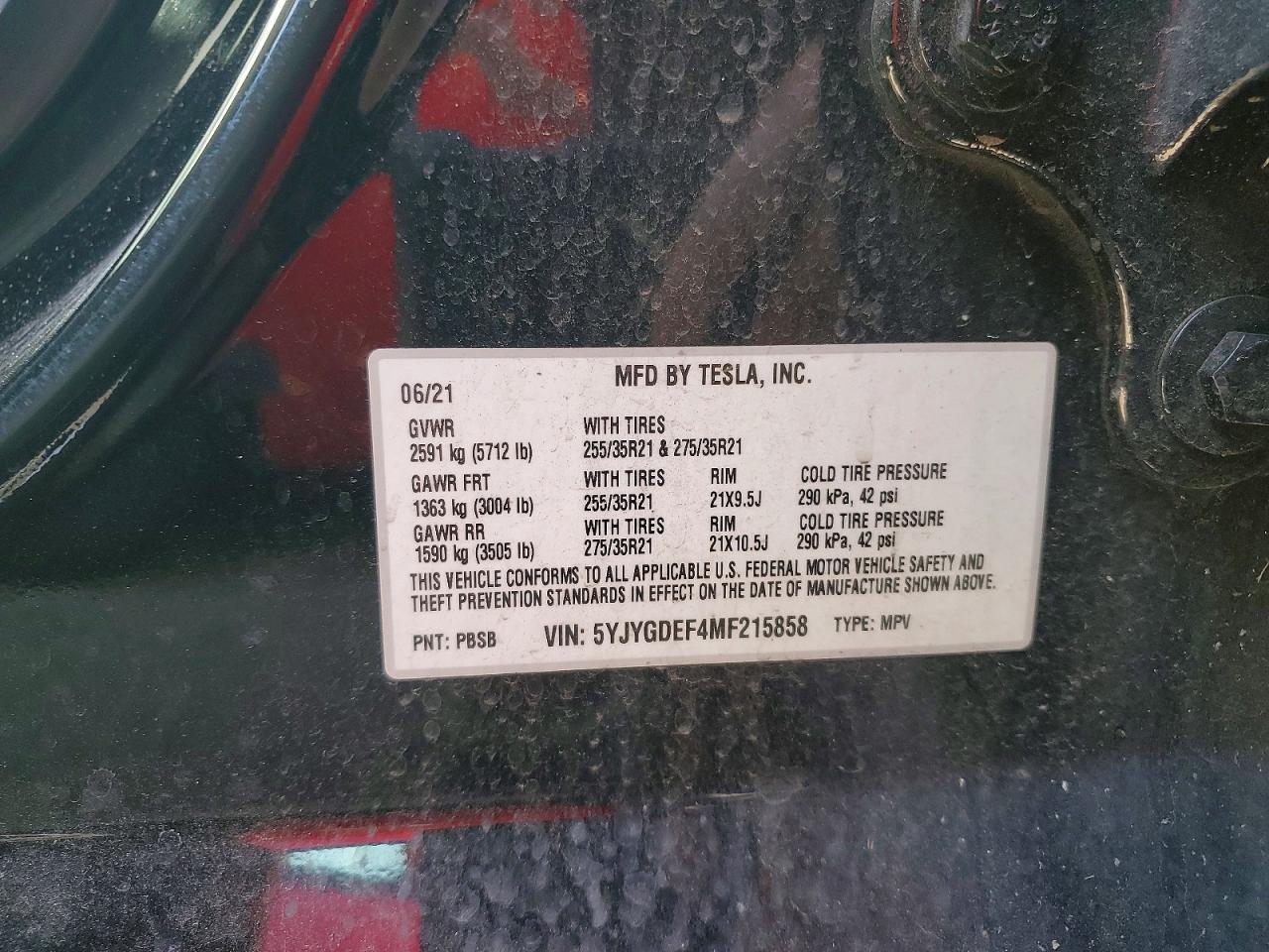 2021 TESLA MODEL Y