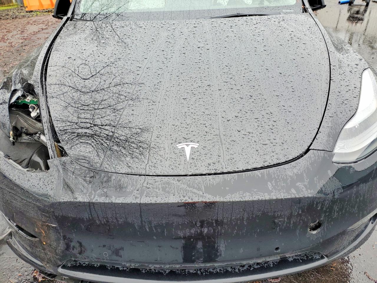 2021 TESLA MODEL Y