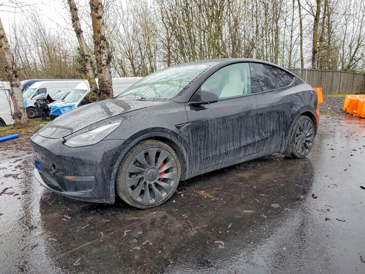 2021 TESLA MODEL Y