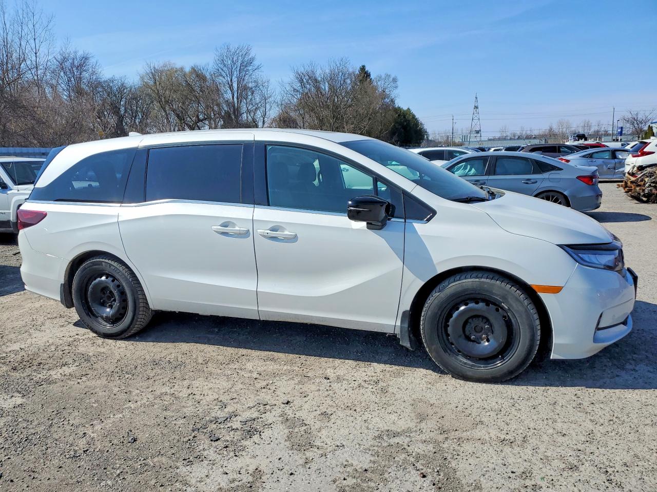2023 HONDA ODYSSEY