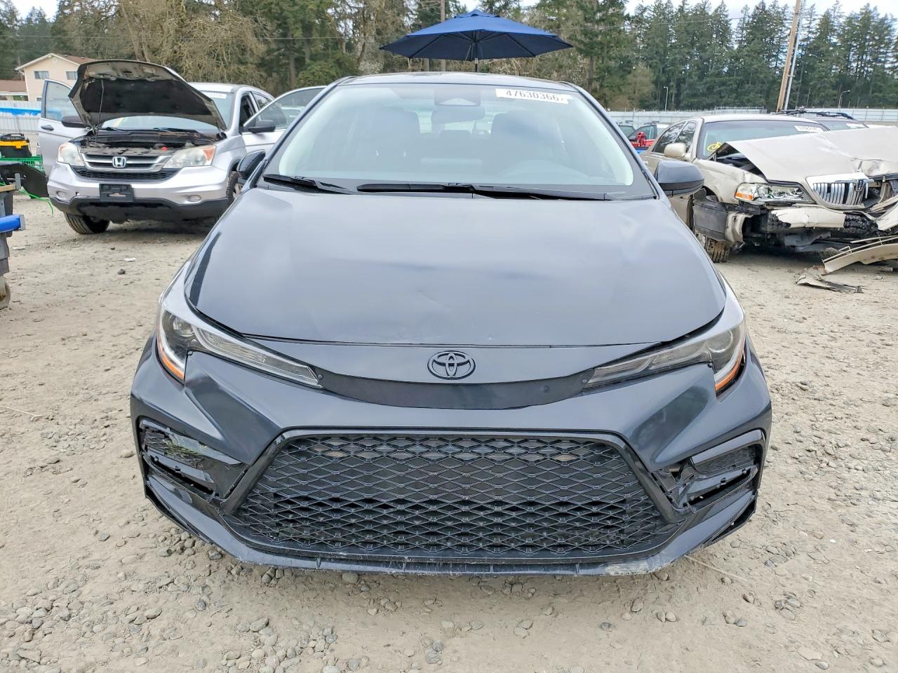 2024 TOYOTA COROLLA