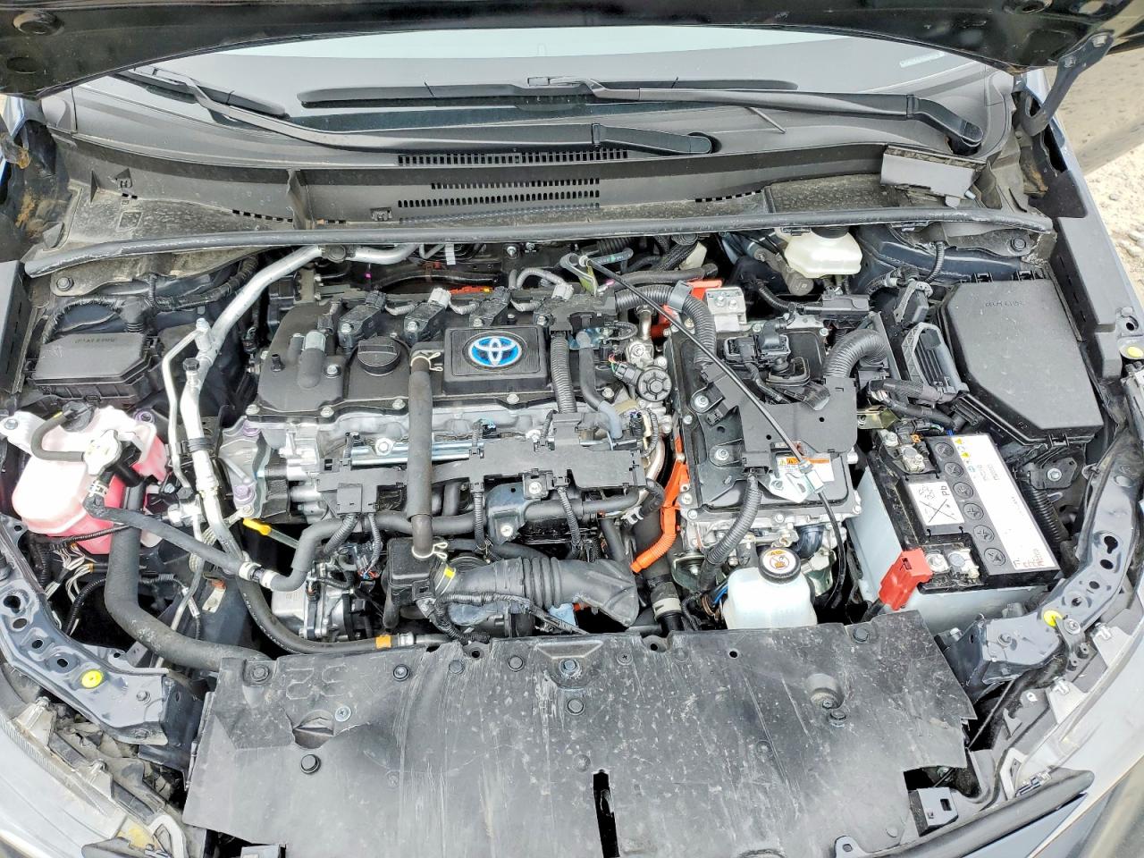 2024 TOYOTA COROLLA