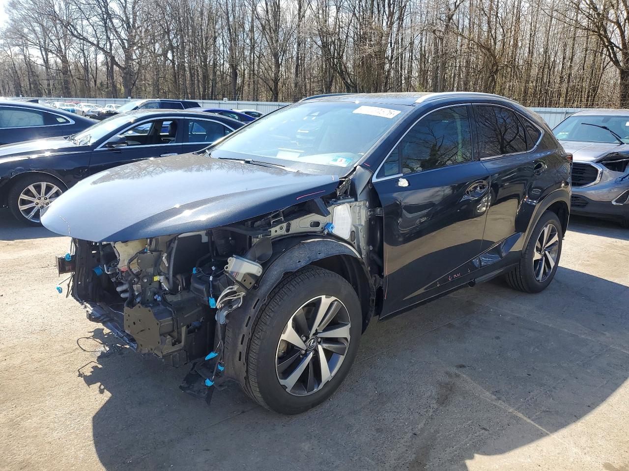 2019 LEXUS NX
