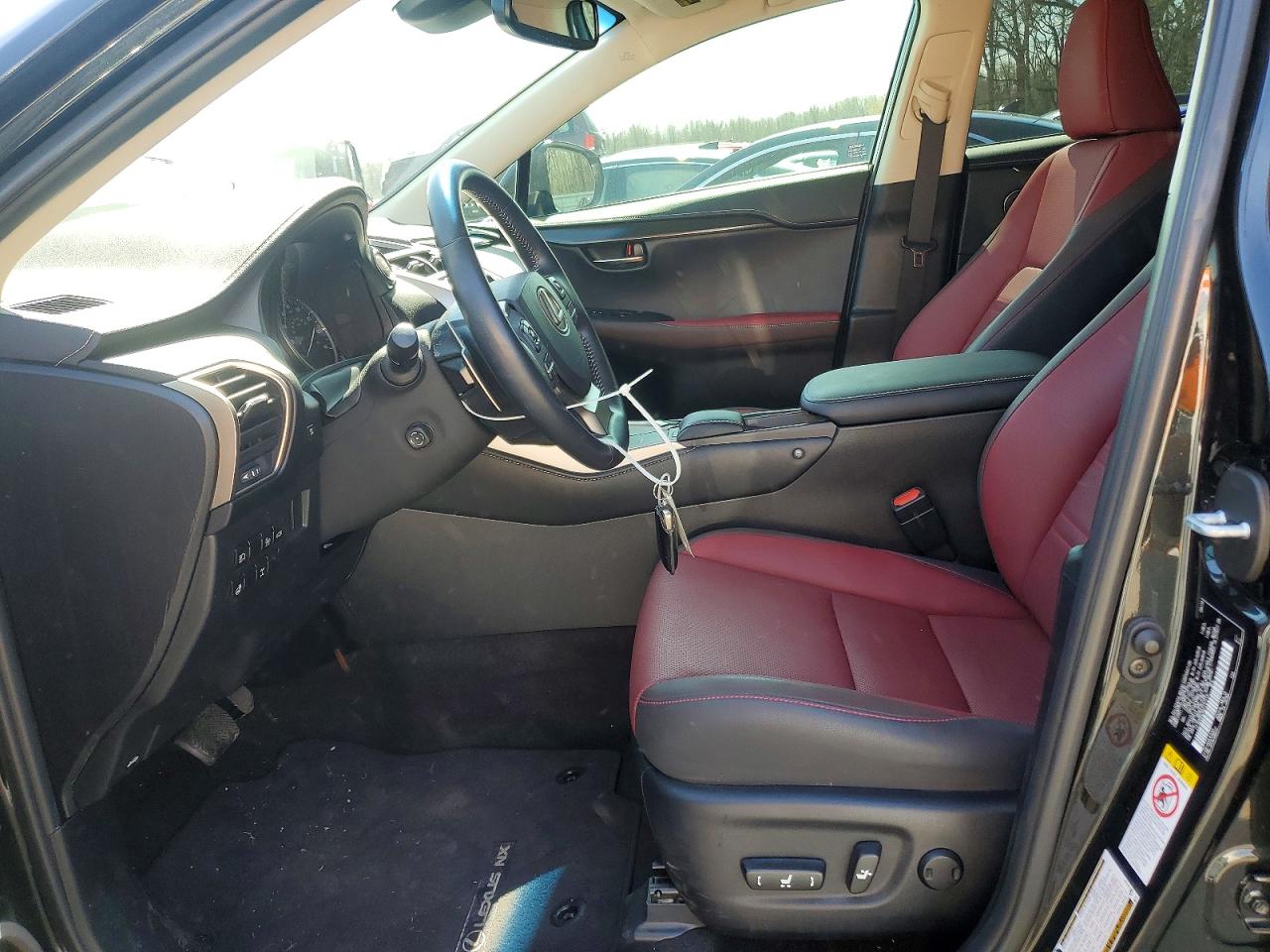 2019 LEXUS NX