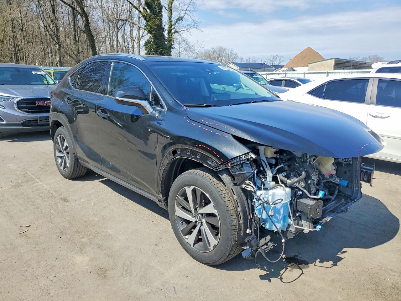 2019 LEXUS NX