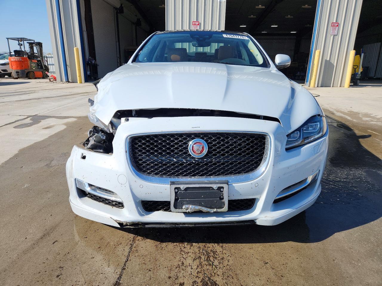 2019 JAGUAR XJ