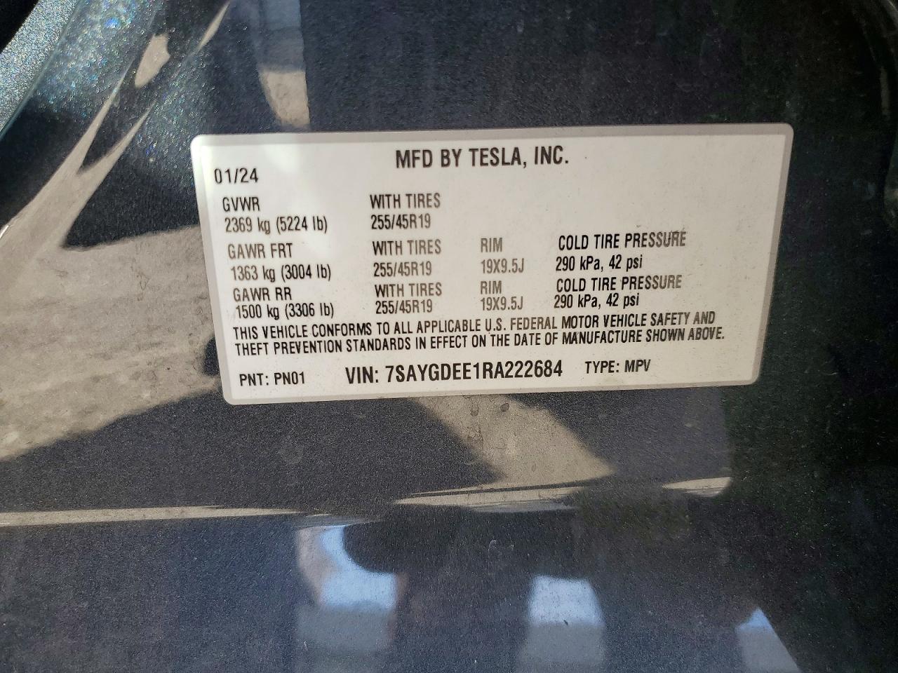 2024 TESLA MODEL Y