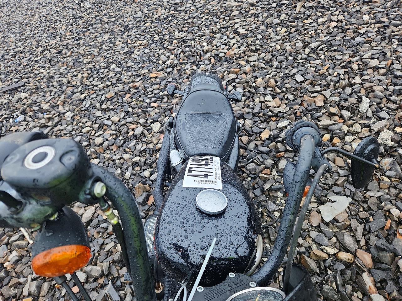 2021 HARLEY-DAVIDSON SPRTSTR120