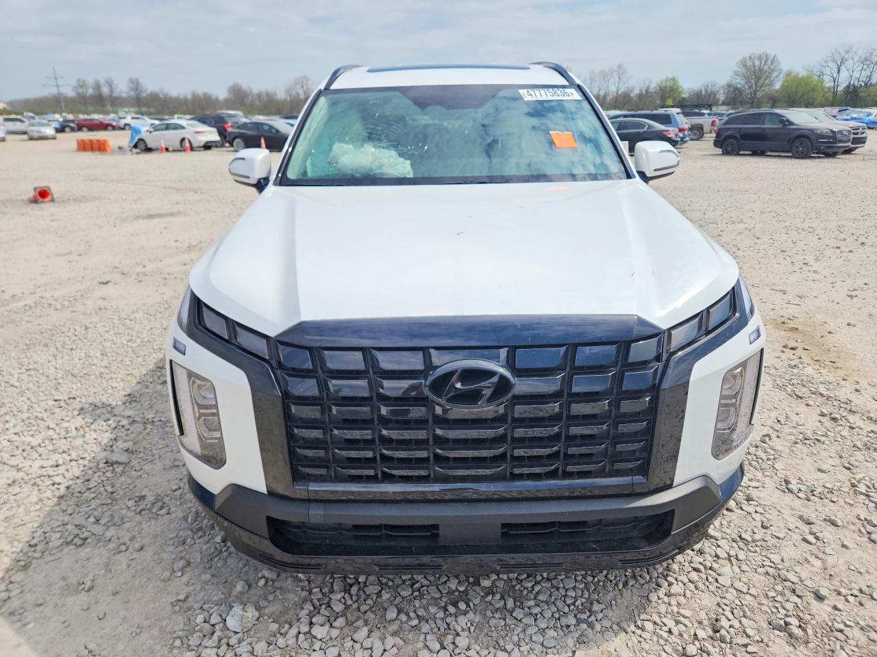 2024 HYUNDAI PALISADE