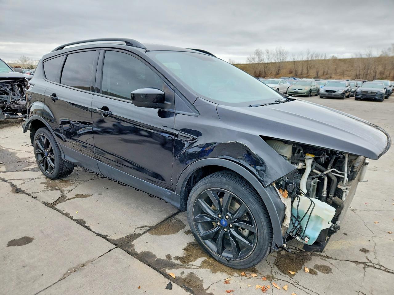 2019 FORD ESCAPE