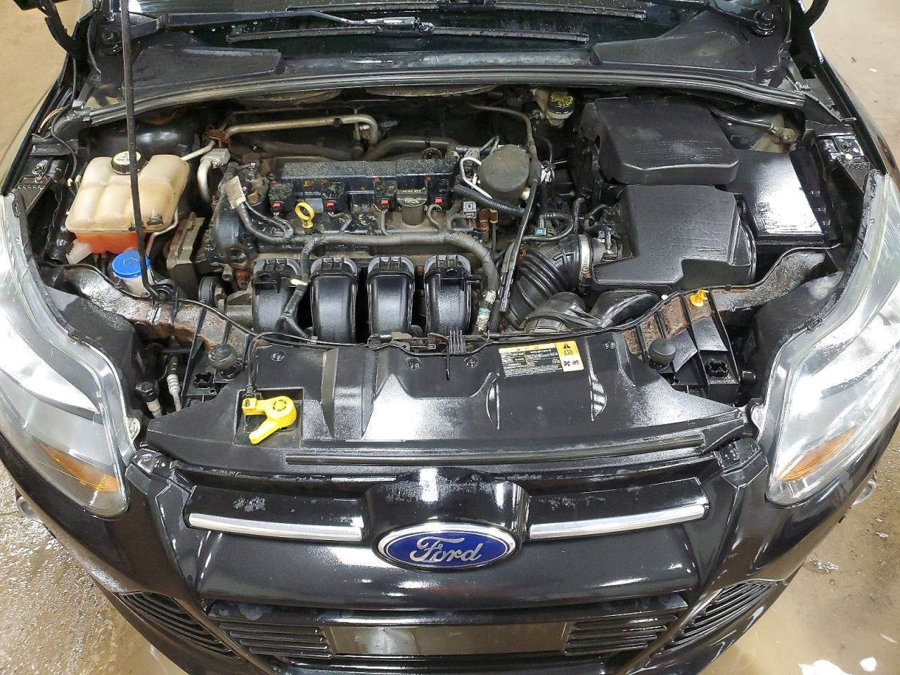 2013 FORD FOCUS