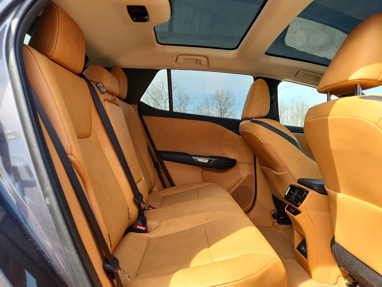 2025 LEXUS RZ 450E
