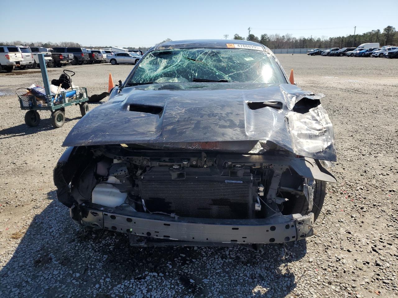 2019 DODGE CHALLENGER