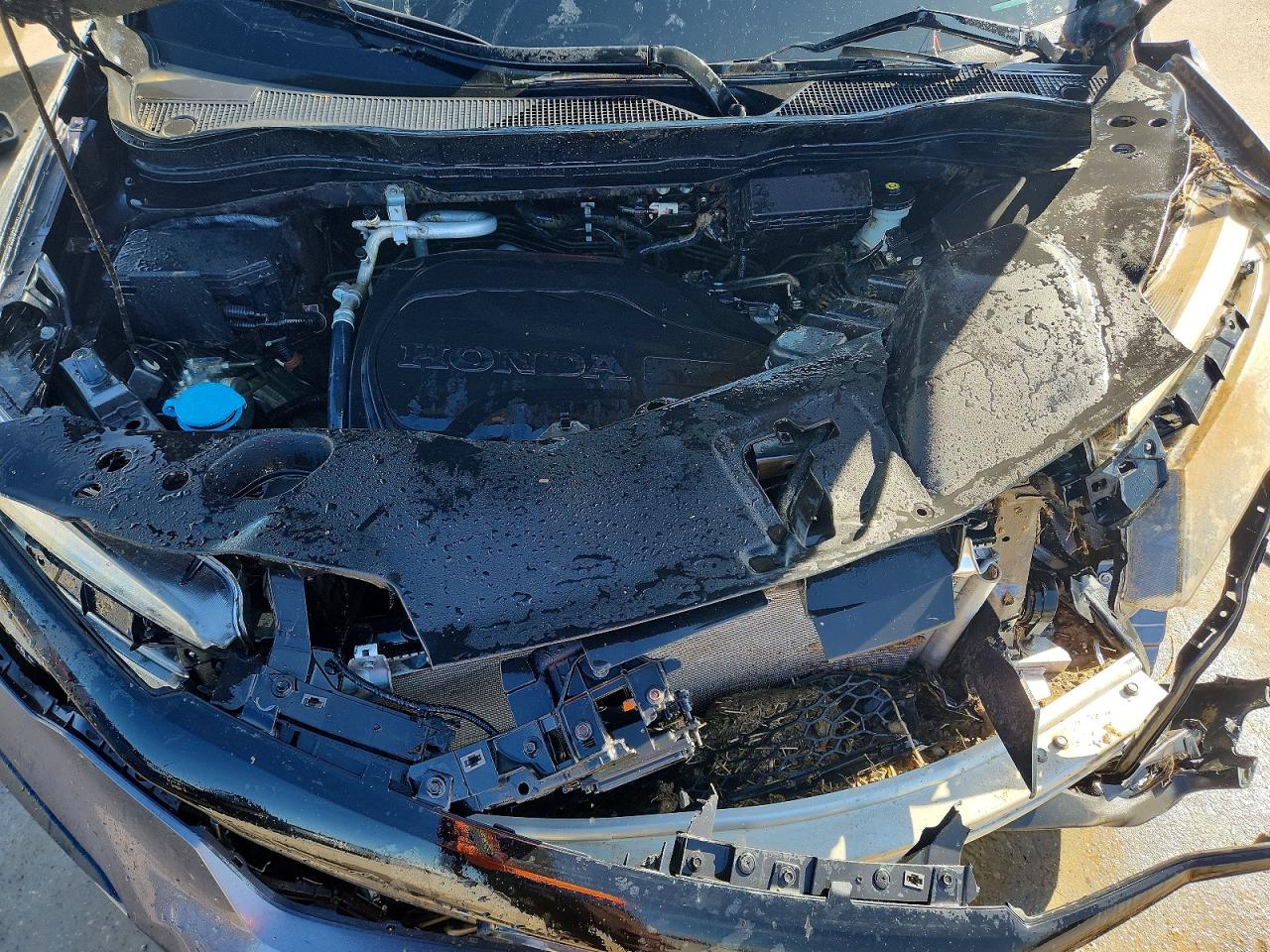 2021 HONDA PILOT