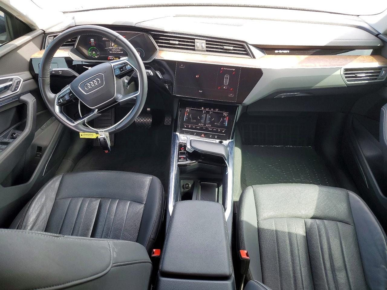 2019 AUDI E-TRON