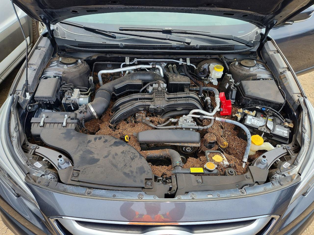 2022 SUBARU OUTBACK