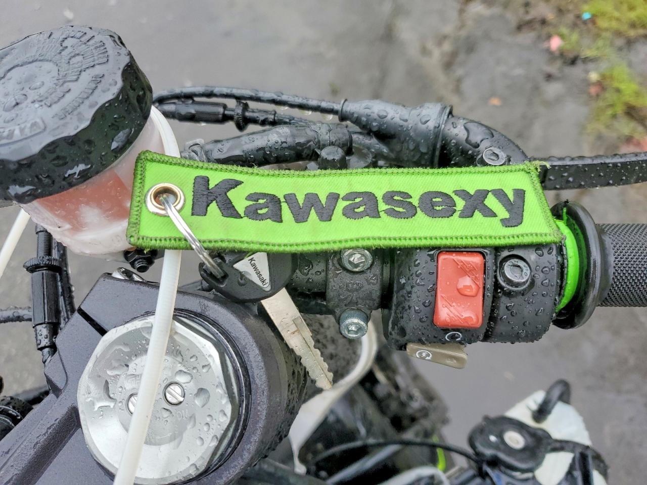 2023 KAWASAKI NINJA 600