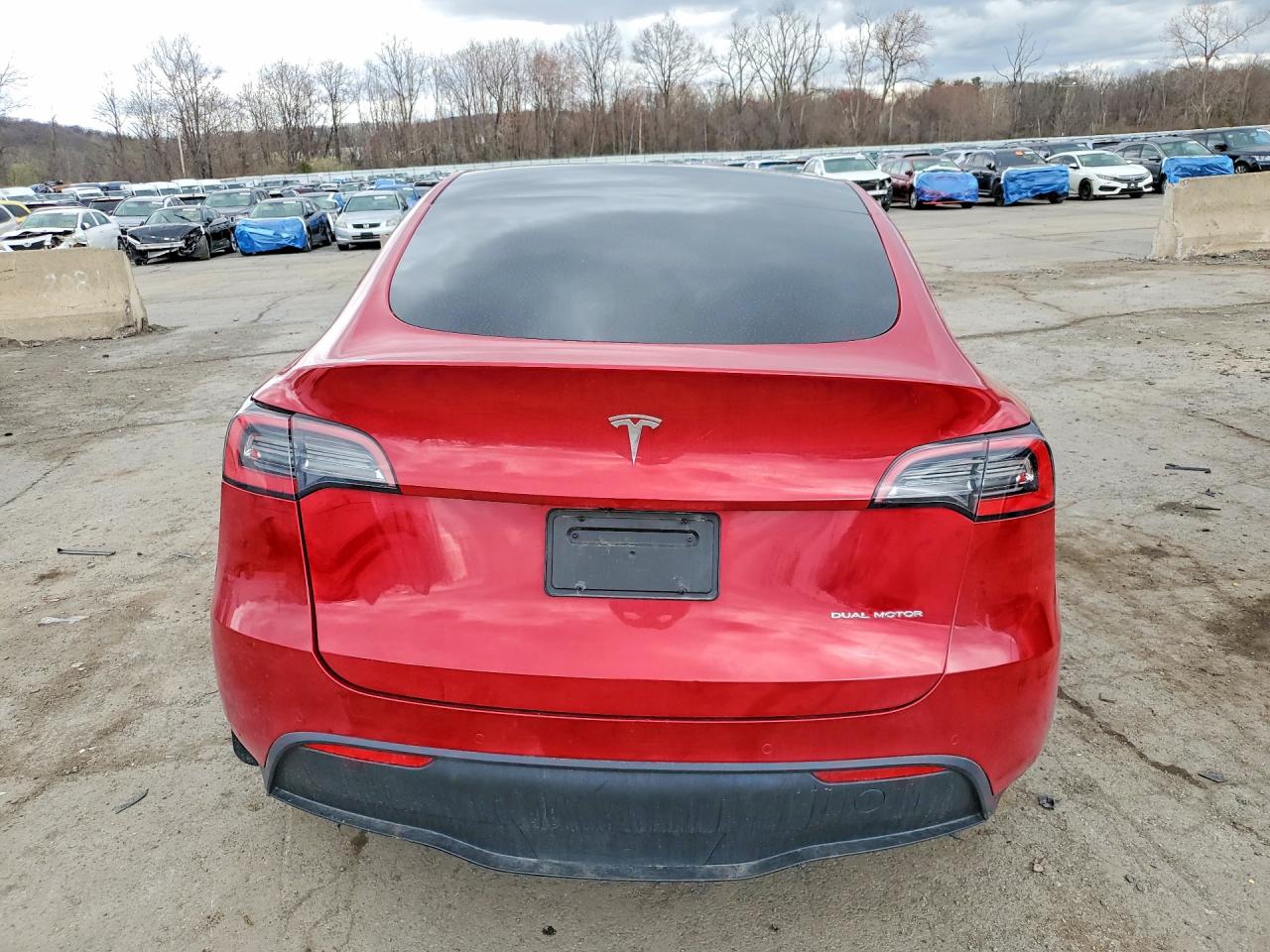 2021 TESLA MODEL Y