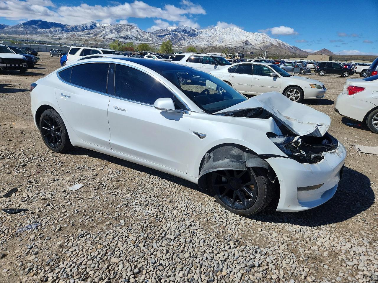 2019 TESLA MODEL 3