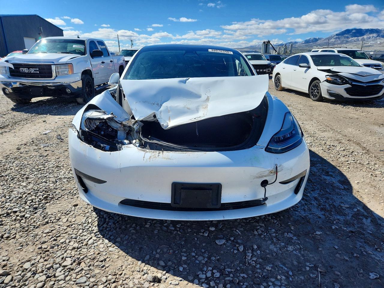 2019 TESLA MODEL 3