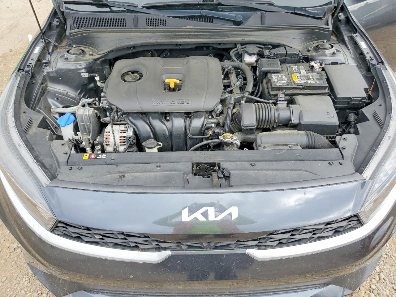 2023 KIA FORTE