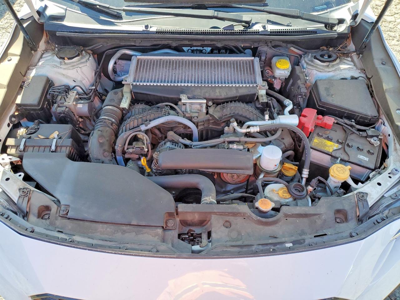 2023 SUBARU WRX