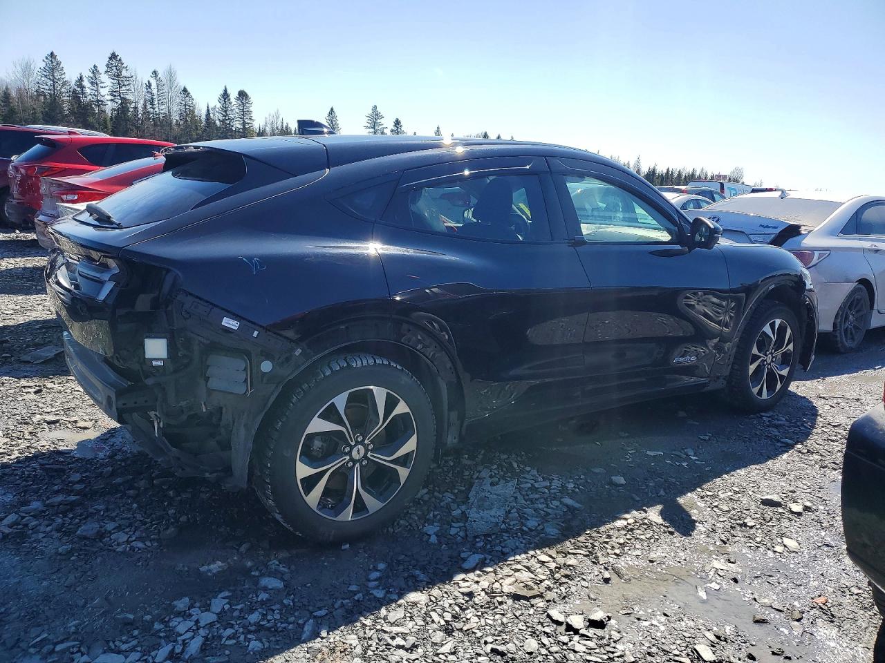 2021 FORD MUSTANG