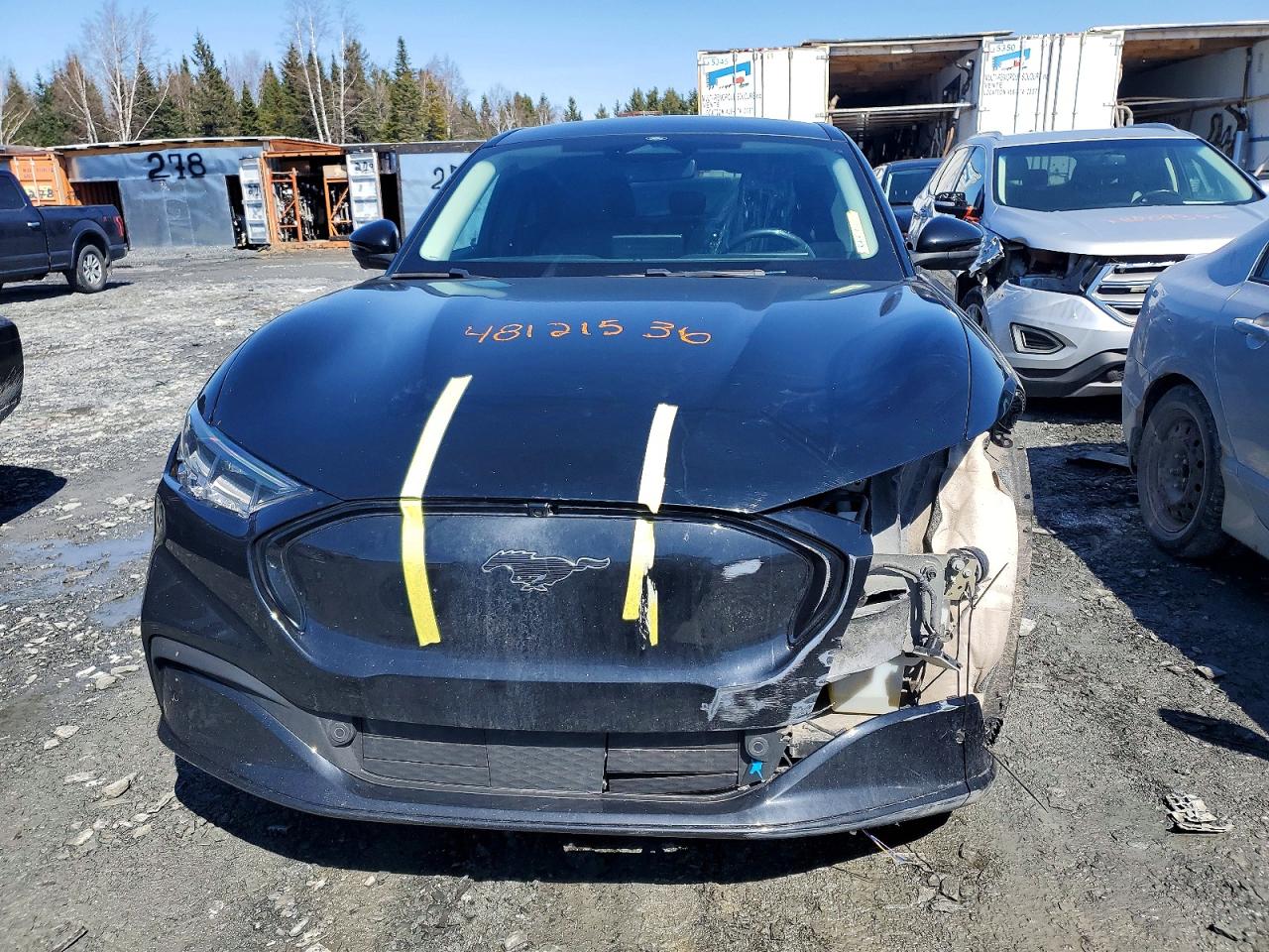2021 FORD MUSTANG