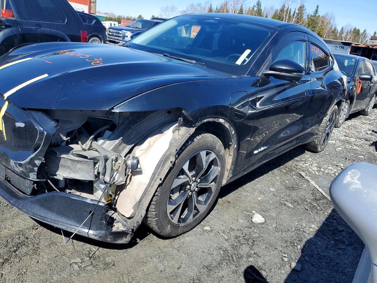 2021 FORD MUSTANG