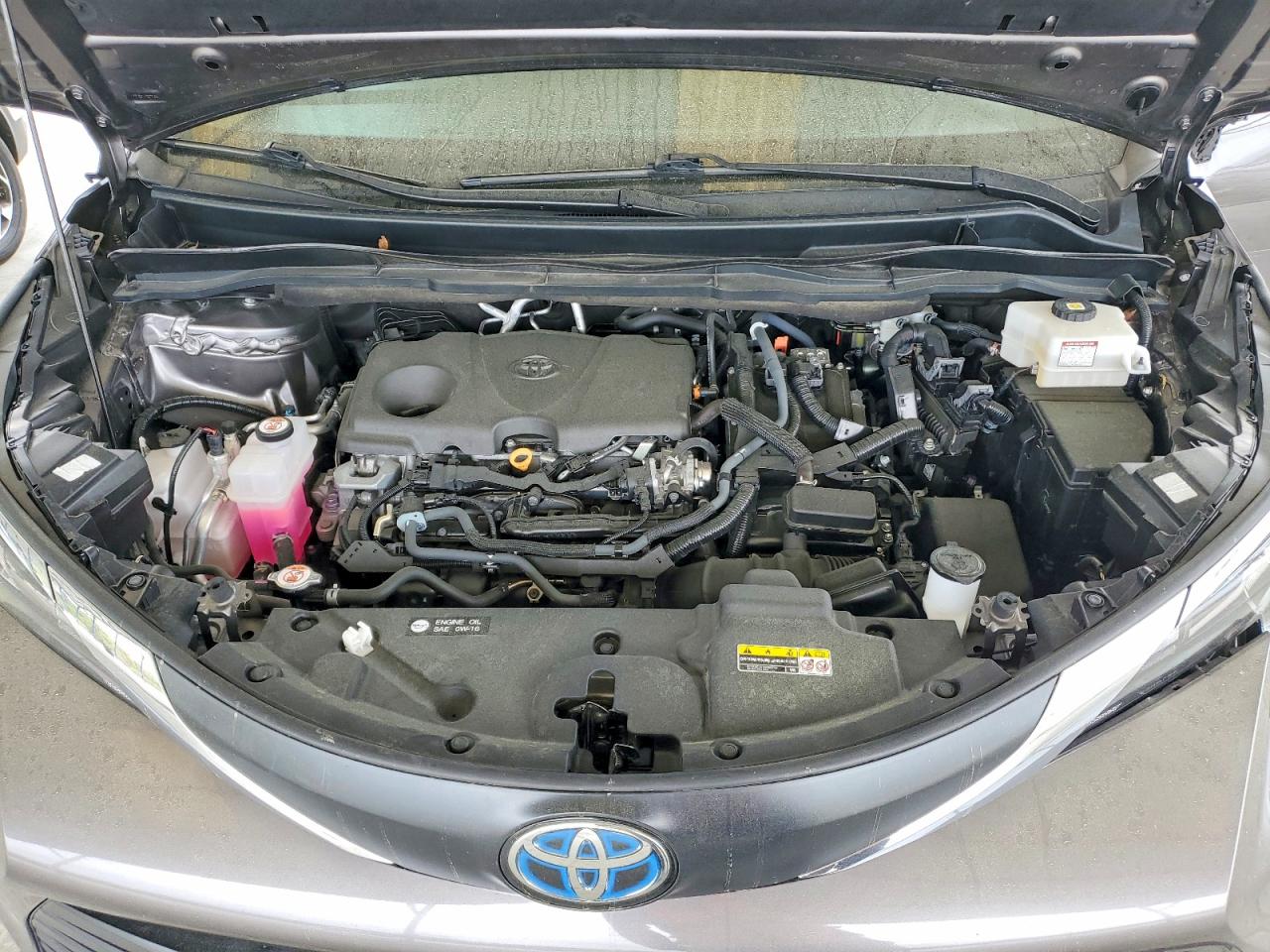 2024 TOYOTA SIENNA