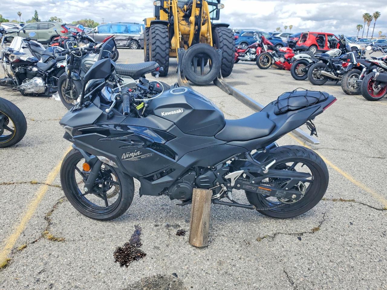 2026 KAWASAKI EX