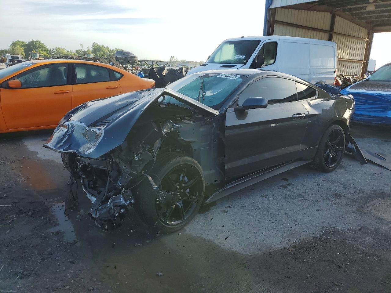 2019 FORD MUSTANG