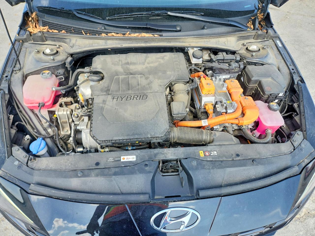 2023 HYUNDAI ELANTRA