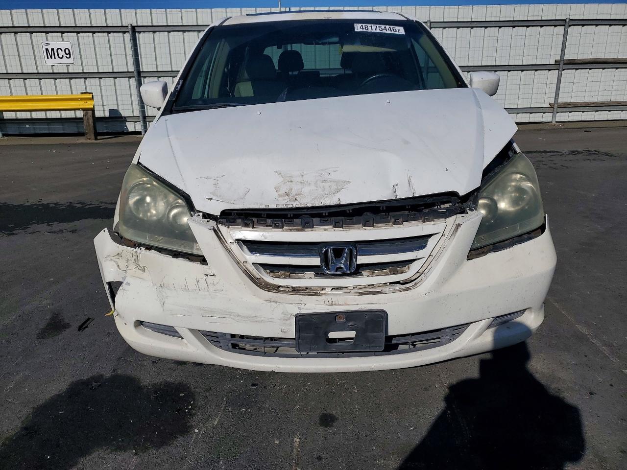 2006 HONDA All Models