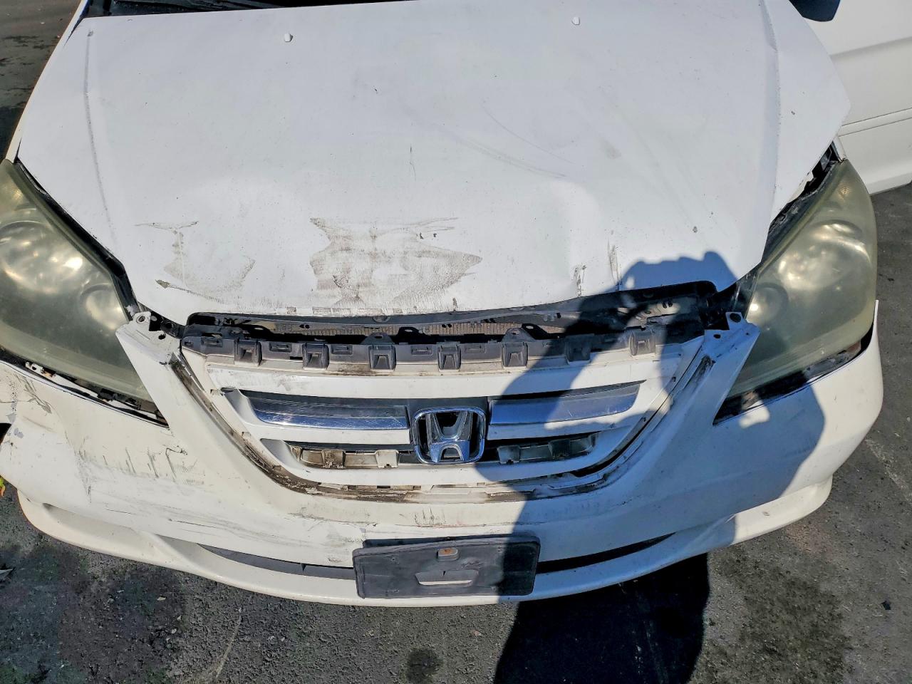 2006 HONDA All Models