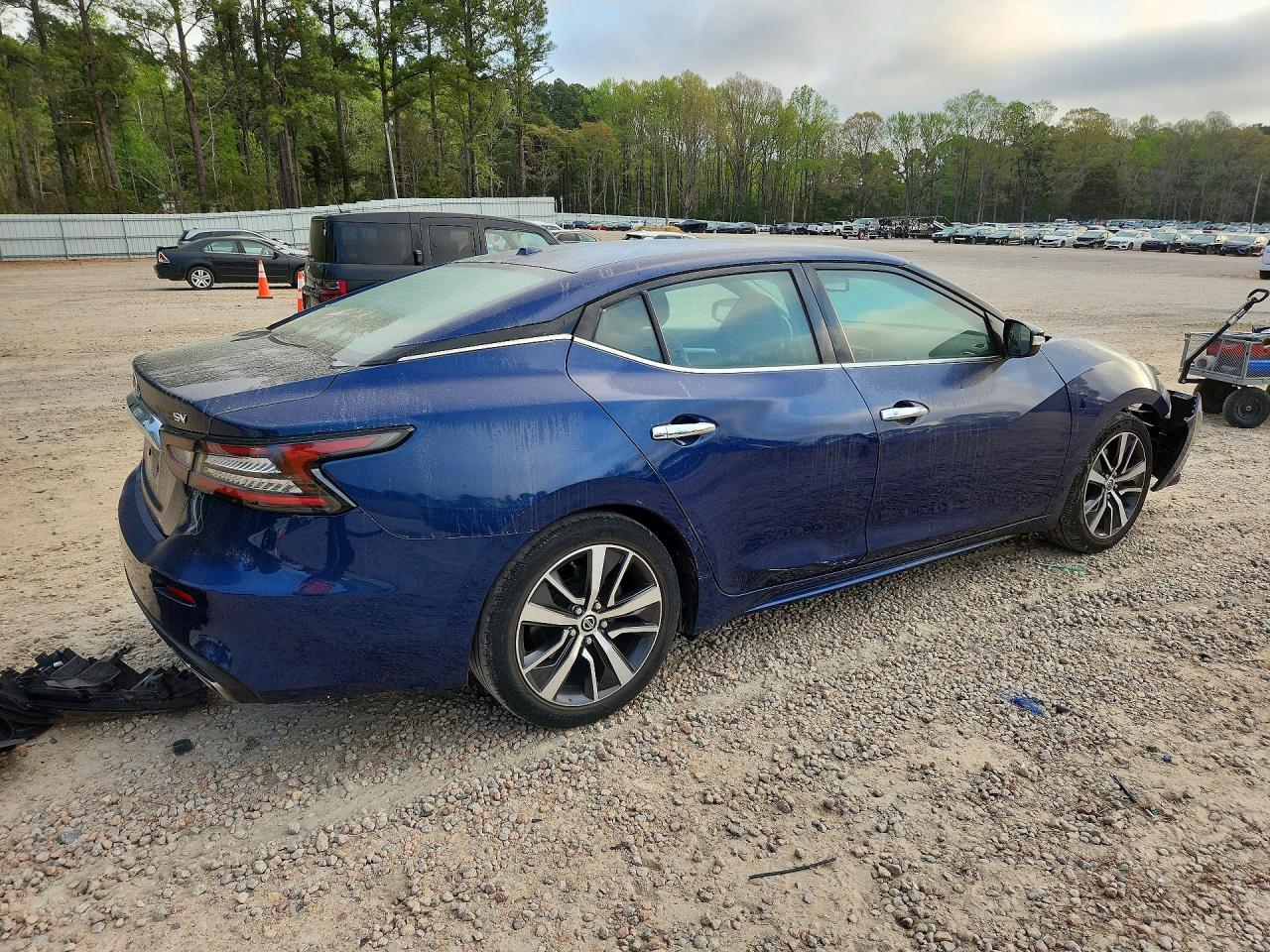 2019 NISSAN MAXIMA