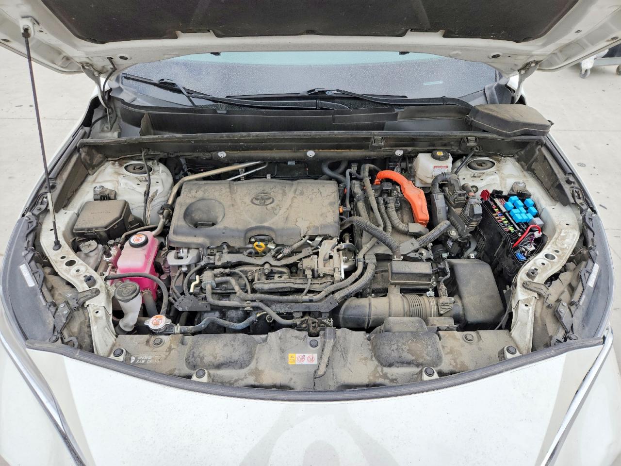 2021 TOYOTA VENZA