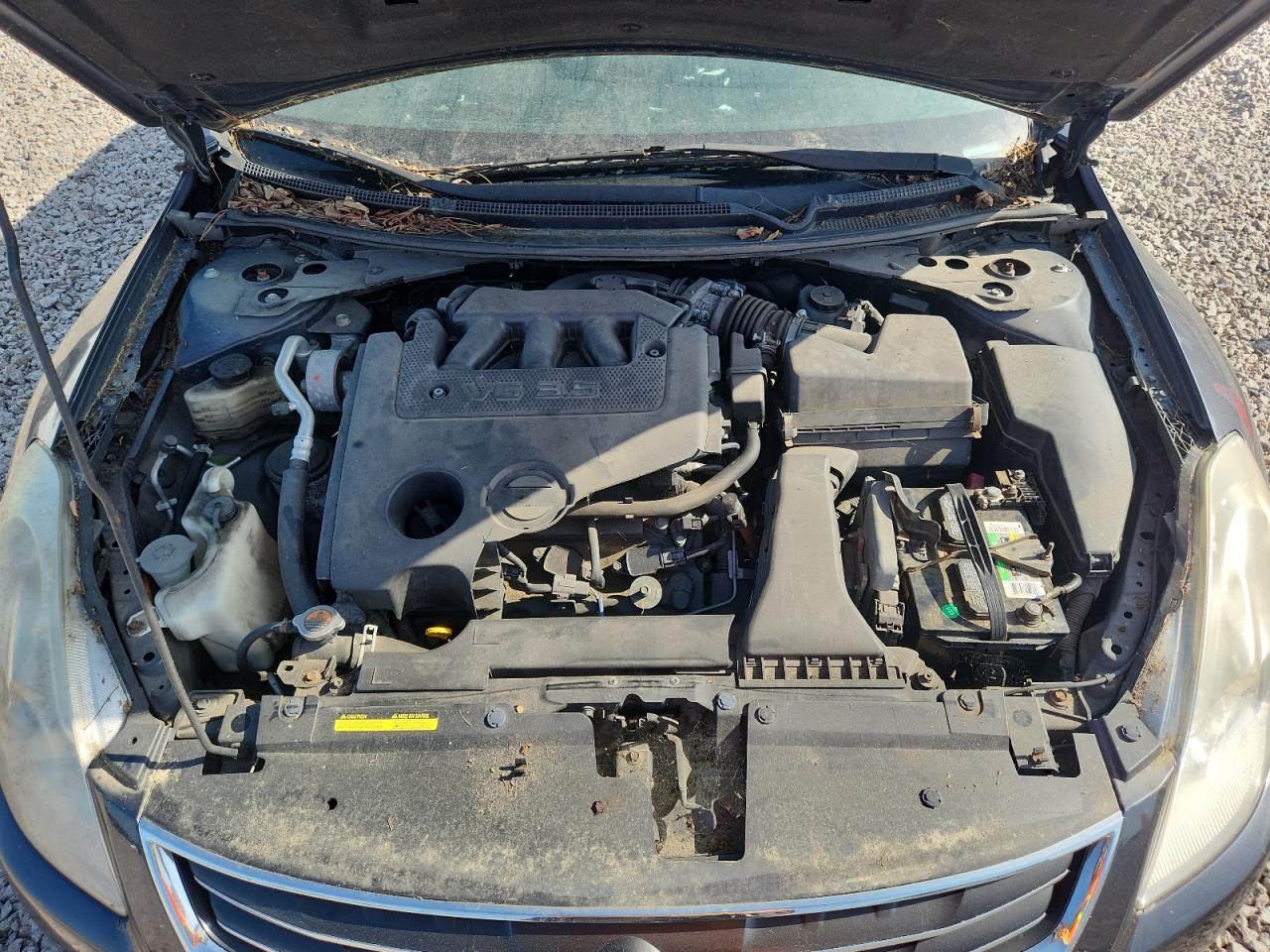 2010 NISSAN ALTIMA
