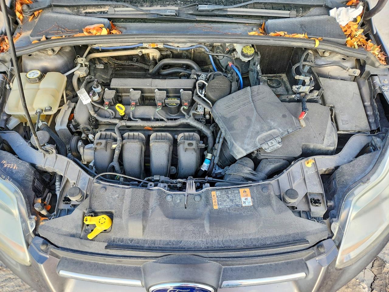 2012 FORD FOCUS