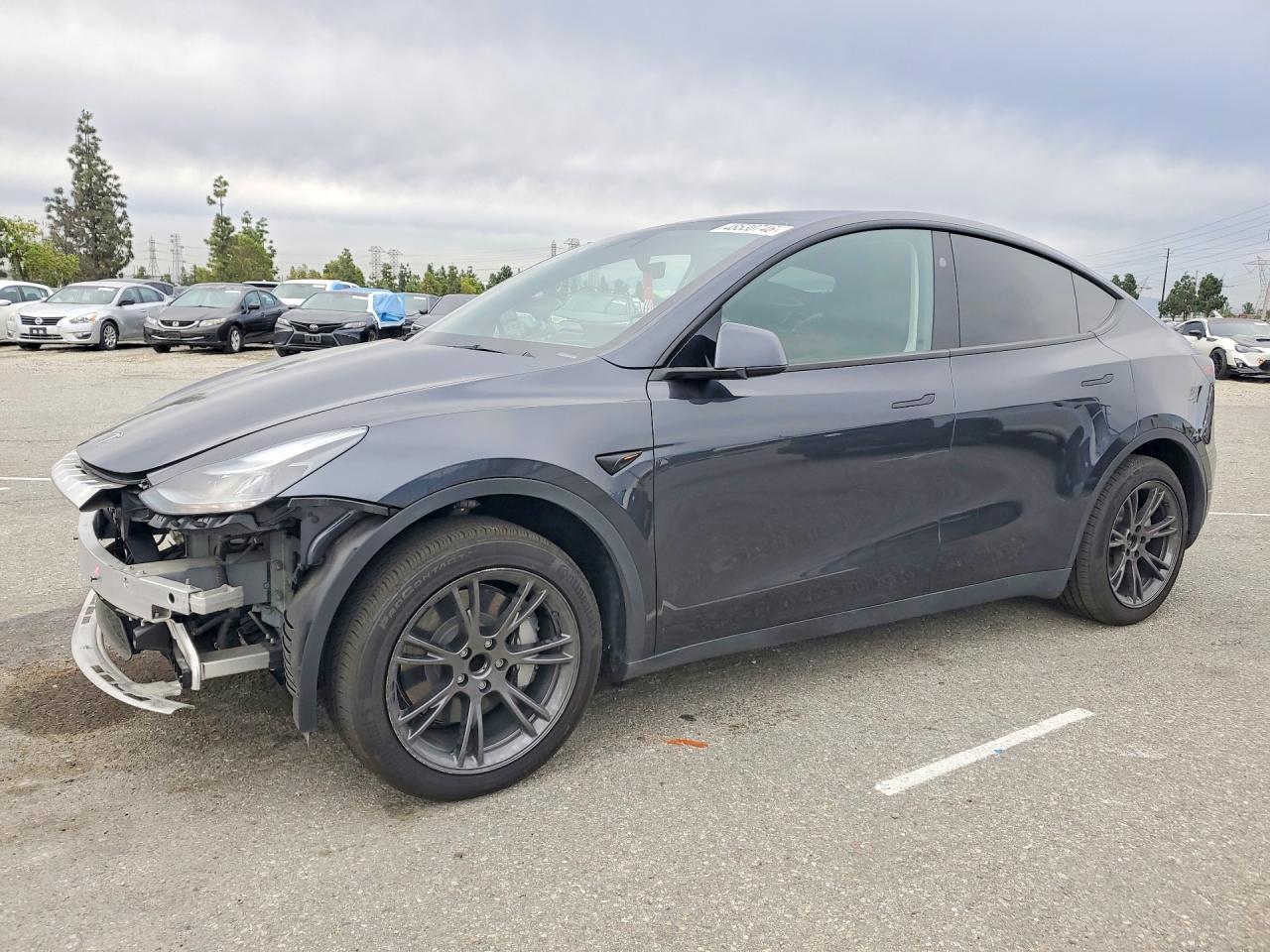 2025 TESLA MODEL Y