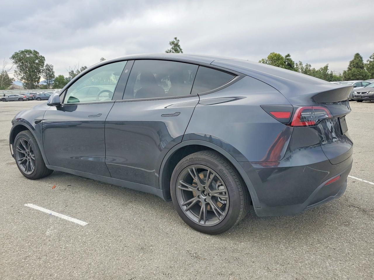2025 TESLA MODEL Y
