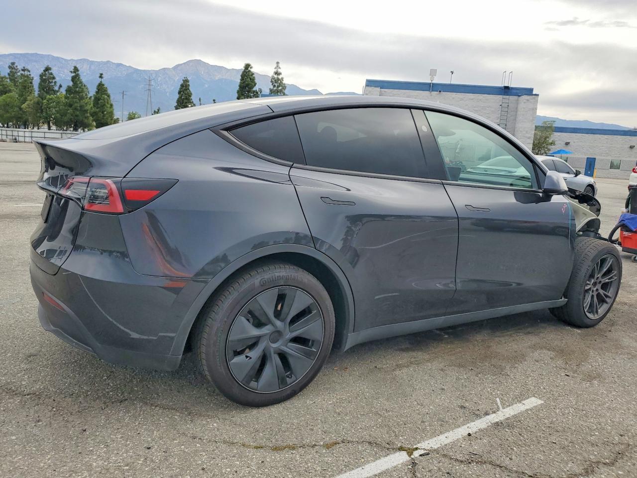 2025 TESLA MODEL Y
