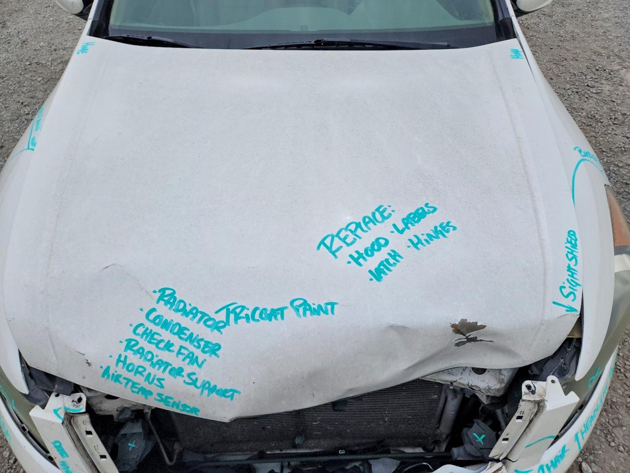 2010 HONDA ACCORD