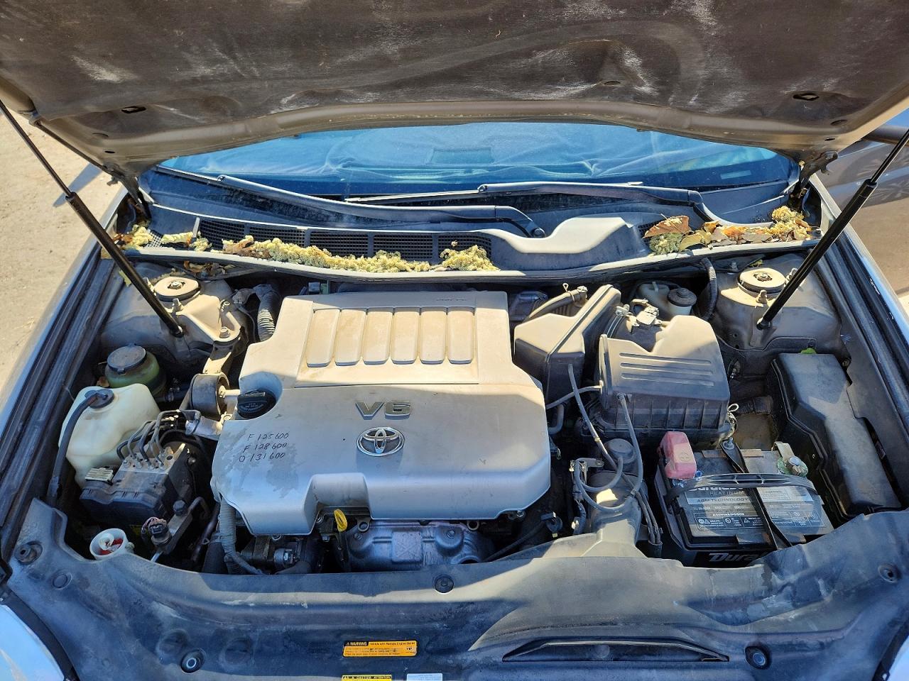 2005 TOYOTA AVALON