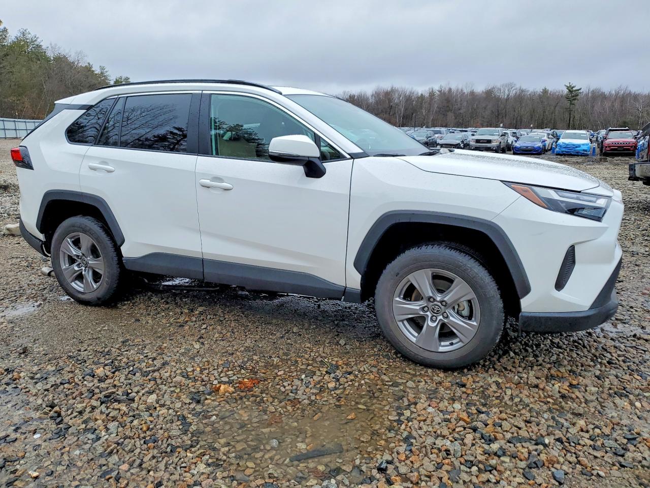 2025 TOYOTA RAV4