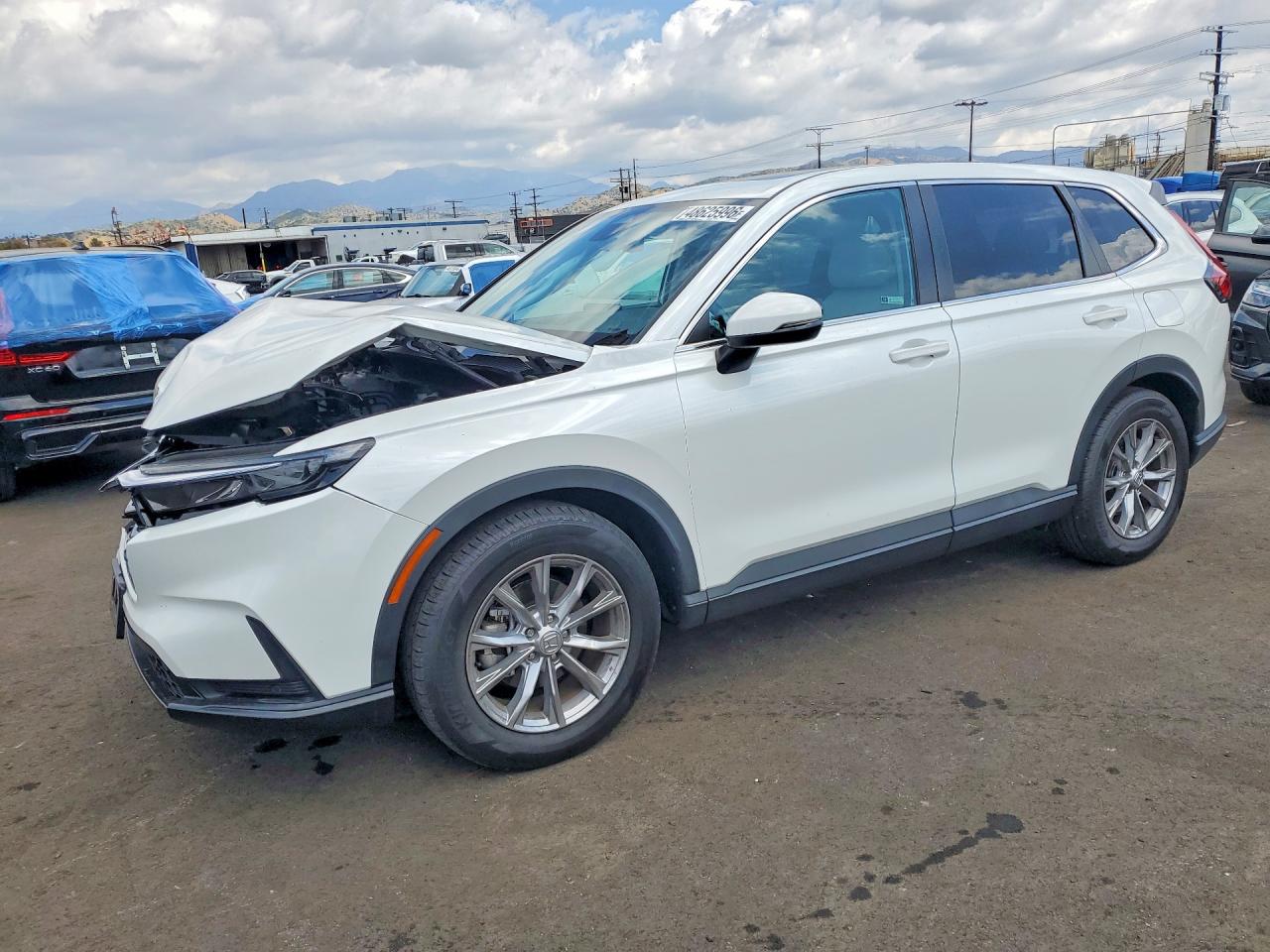 2023 HONDA CRV