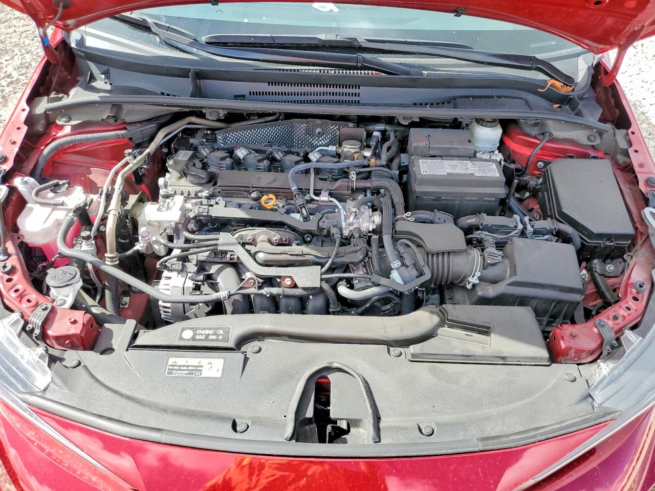 2025 TOYOTA COROLLA