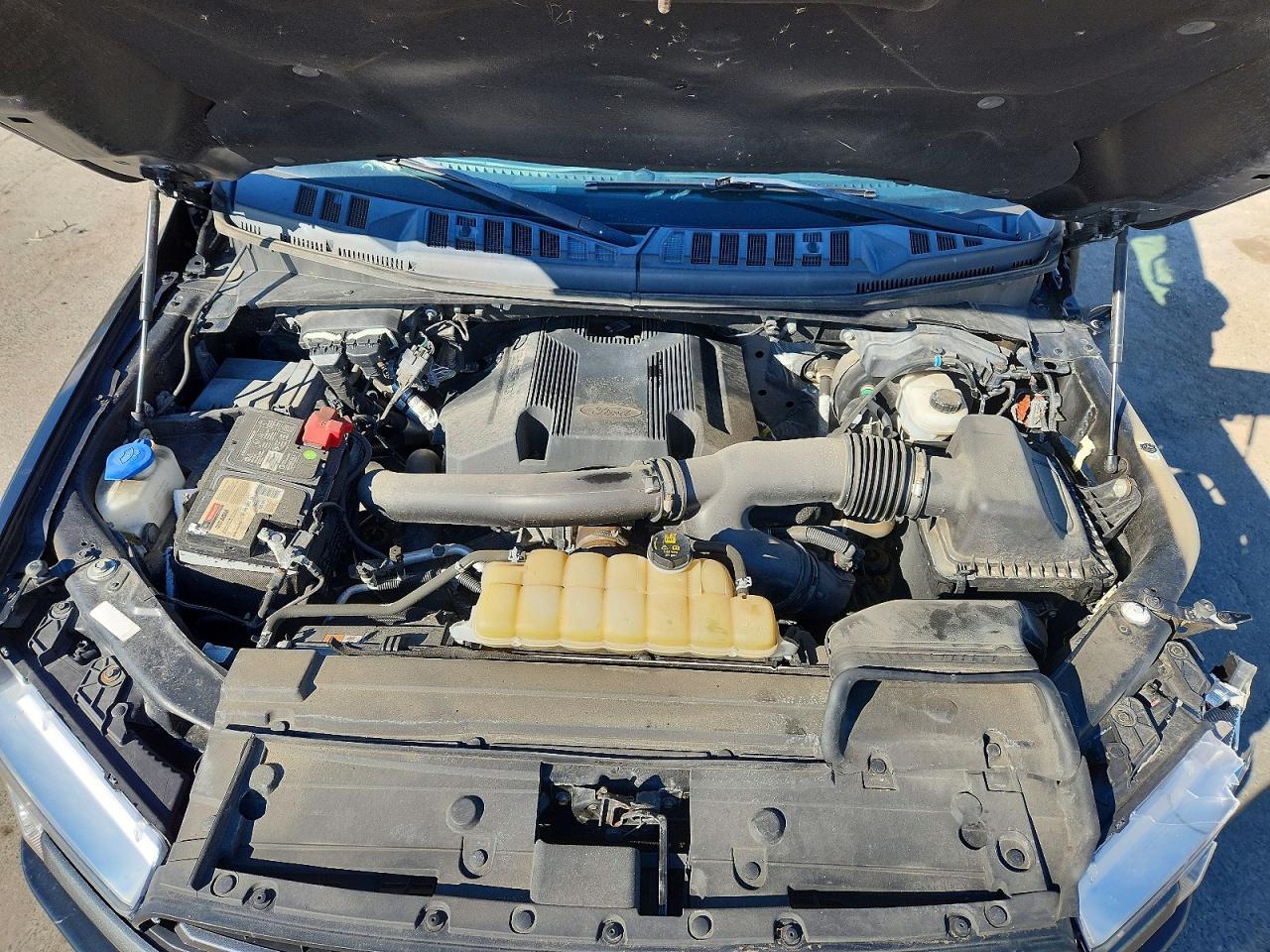 2019 FORD F150